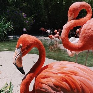 Meet your Posher, Camille